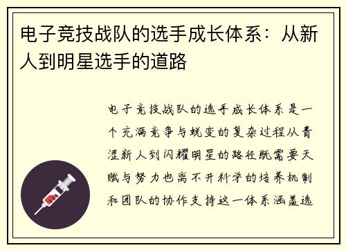 电子竞技战队的选手成长体系：从新人到明星选手的道路