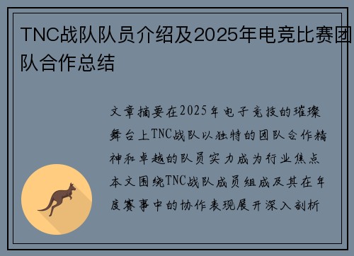 TNC战队队员介绍及2025年电竞比赛团队合作总结